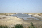 Natural Salinity in Senegal